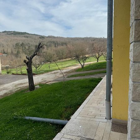 Apartmani Antonio Motovun Kültér fotó