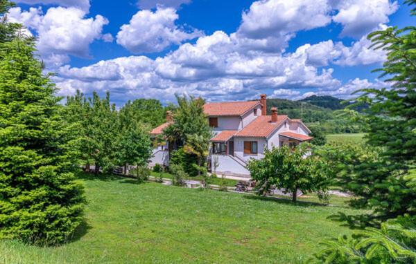 Apartmani Antonio Motovun Kültér fotó